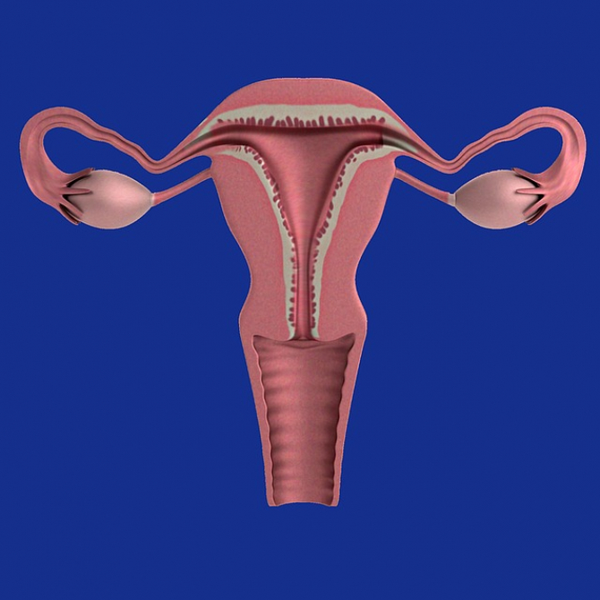endometrioza poate provoca pierderea în greutate