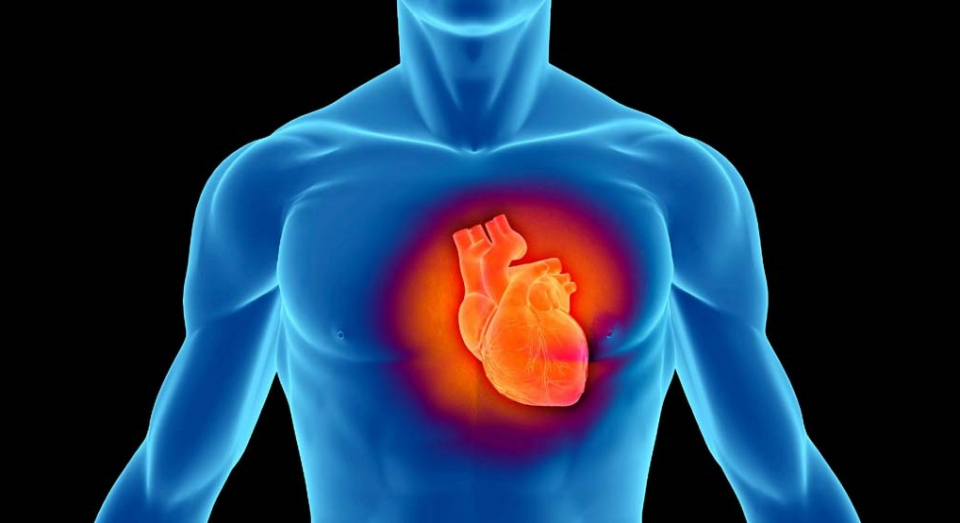 Tulburările de ritm cardiac pot fi diagnosticate rapid cu mijloace moderne