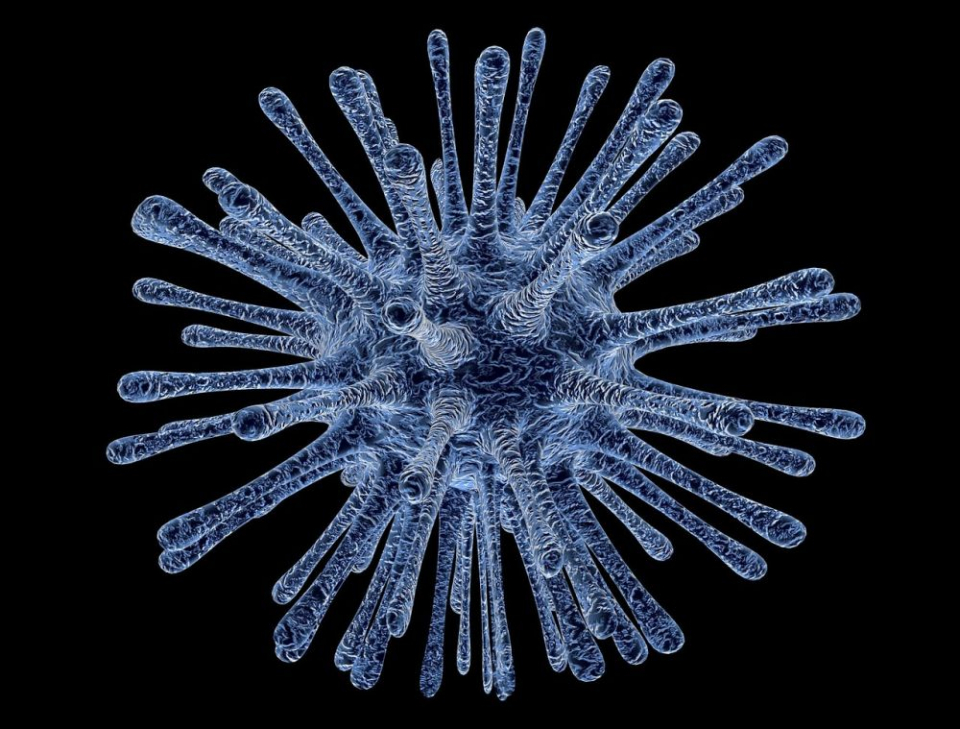 Virusul gripei are un punct vulnerabil care poate fi exploatat pentru a da valabilitate mai lungă imunizării