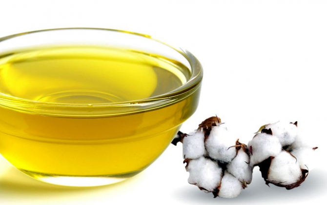 Semințele de bumbac conțin un ulei care scade colesterolul