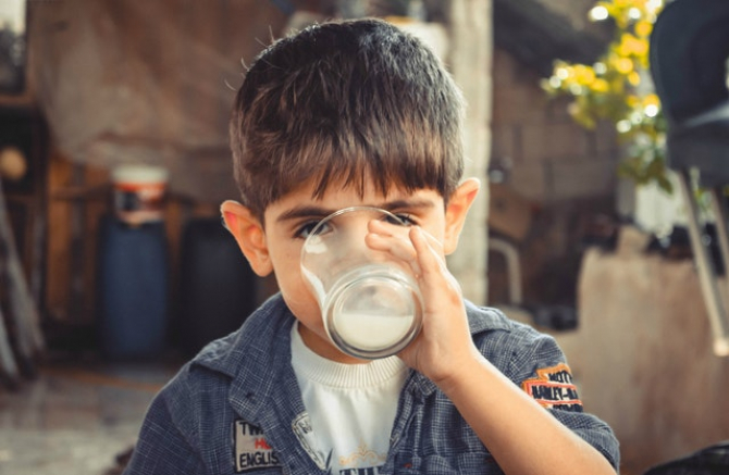 Alergie alimentara, bacteriile din intestin ii protejeaza pe copiii cu alergie la laptele de vaca