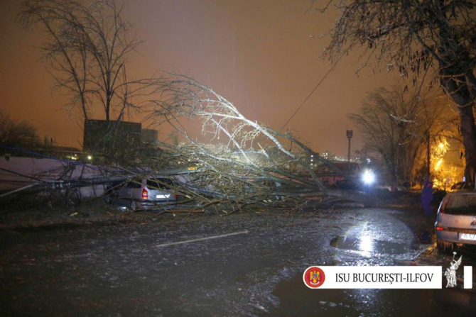 Noaptea trecuta mai multi copaci au cazut in Capitala din cauza vremii nefavorabile. FOTO: ISU Bucuresti-Ilfov