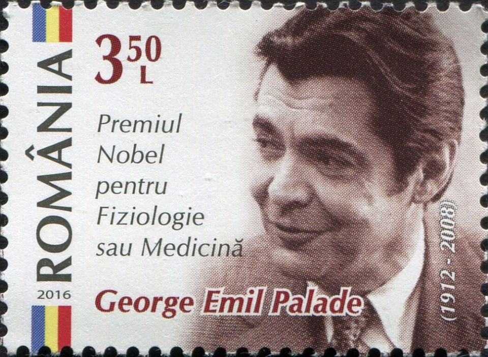 George Emil Palade ilustrat pe o arcă poștală din seria Români Geniali. FOTO: Wikipedia