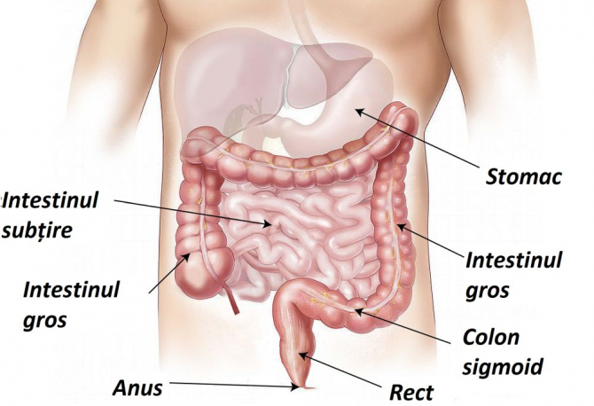 articulațiilor în boala Crohn