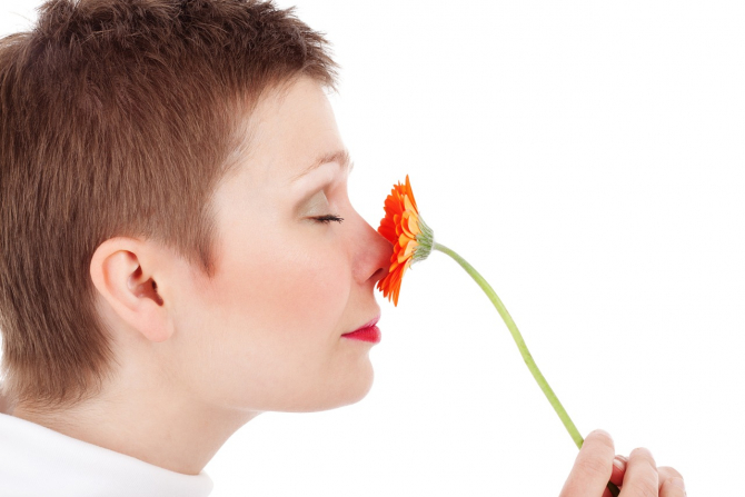 Nasul nu e singurul organ de simț al mirosului