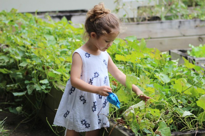 Grădinăritul îi ajută și pe copii să facă față stresului   FOTO: pexels.com