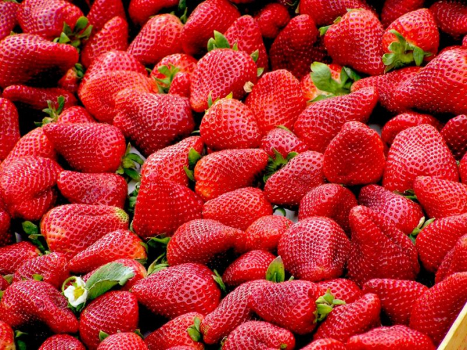 Căpșuni       FOTO: pexels.com