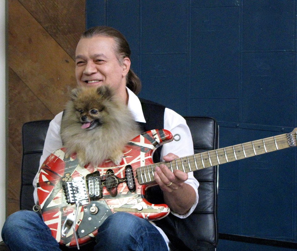 Eddie Van Halen bănuieşte că a dezvoltat cancer oral din cauza penelor de chitară din metal, pe care le-a folosit peste două decenii şi pe care obişnuia să le ţină în gură. 