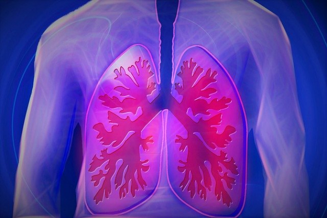 forumurile suspectate de întunecarea tuberculozei în plămân