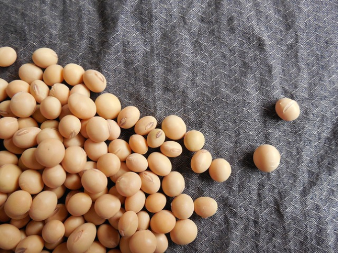 
Produsele de soia conțin cel mai ridicat nivel de estrogen natural. FOTO Pixabay