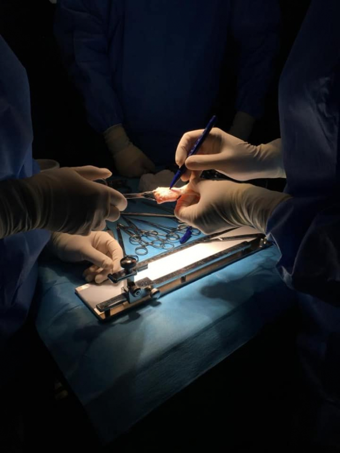 Imagine din timpul operației  FOTO: Facebook ANT