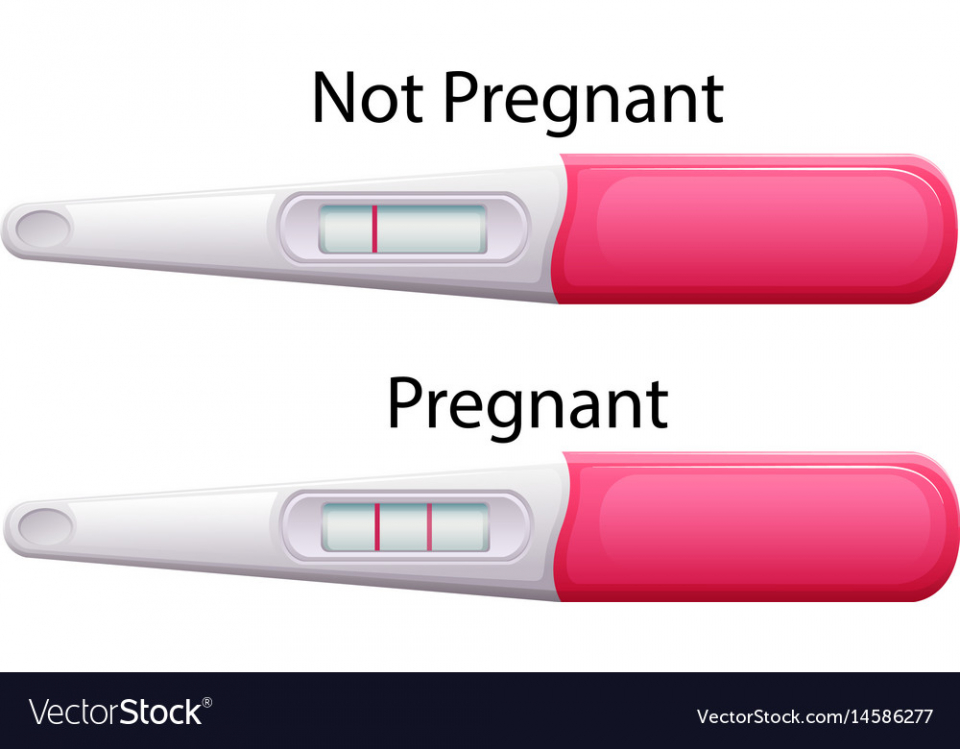 Test de sarcină       Foto: vectorstock.com