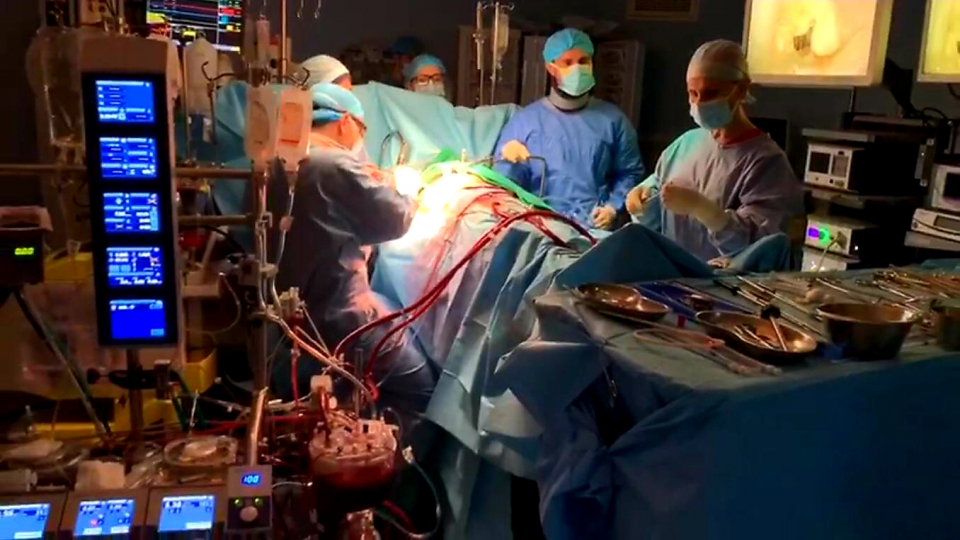 Chirurgie cardiacă endoscopică