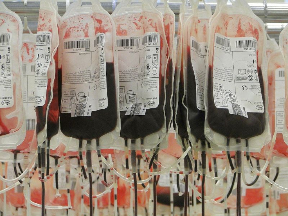 Sânge, donate