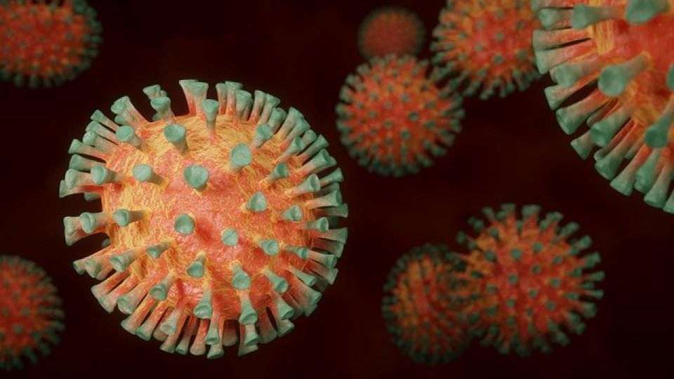 Nou focar de coronavirus