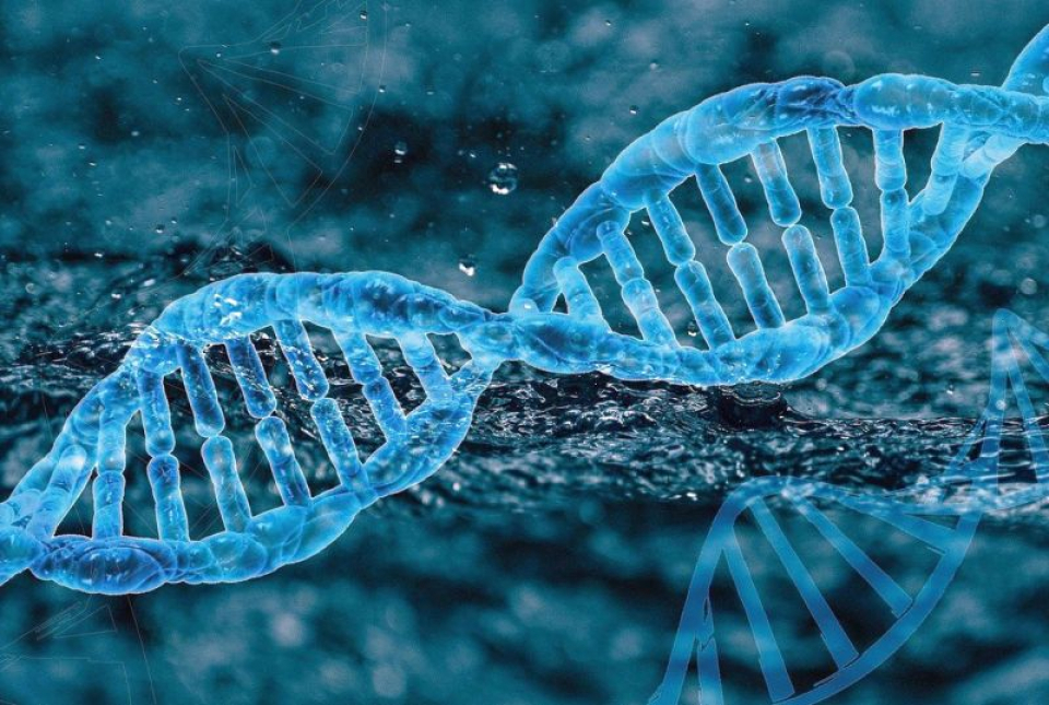 Genă, ADN. Foto: Pixabay