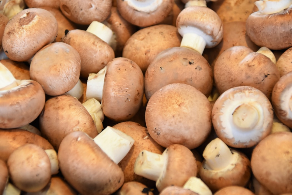 Ciuperci, porția corectă pentru a NU te îngrășa. Medic: Concentrație maximă de vitamine B, FOTO unsplash