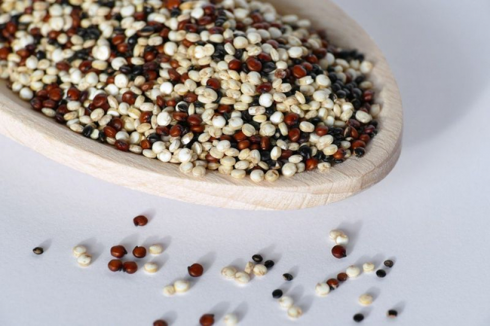 Quinoa. Foto: Pixabay