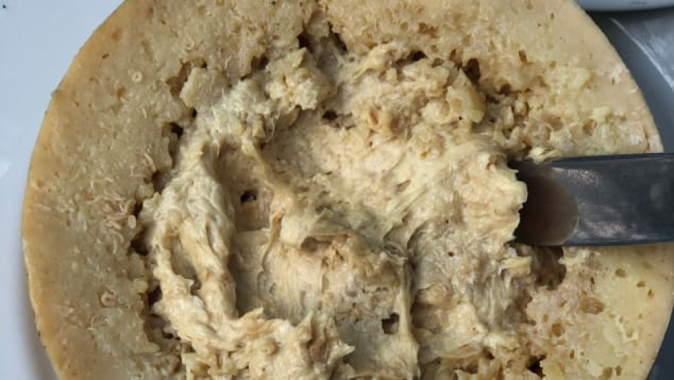 Brânza casu marzu, infestată cu viermi, este cea mai periculoasă brânză.   Foto: CNN