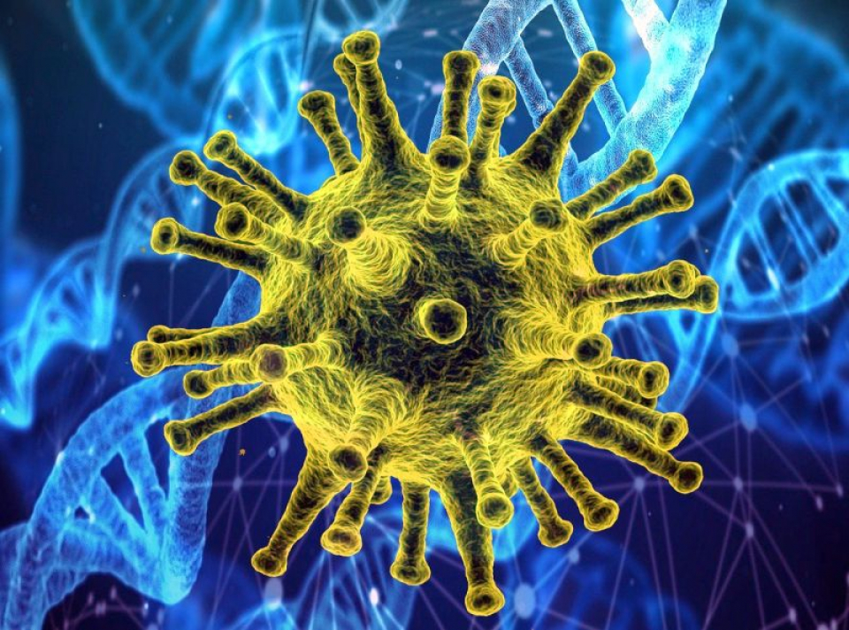 Coronavirus   Foto: Pixabay