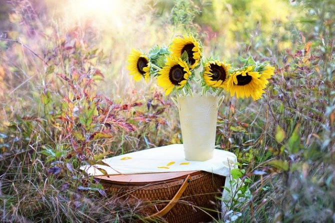 Buchet de flori în vază  FOTO: pixabay
