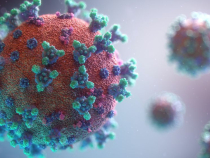Coronavirus               Foto: Fusion Medical Animation / Unsplash
