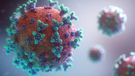 Coronavirus               Foto: Fusion Medical Animation / Unsplash
