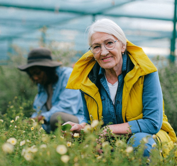 Grădinărit, bătrâni    Foto: Anna Shvets, de la Pexels
