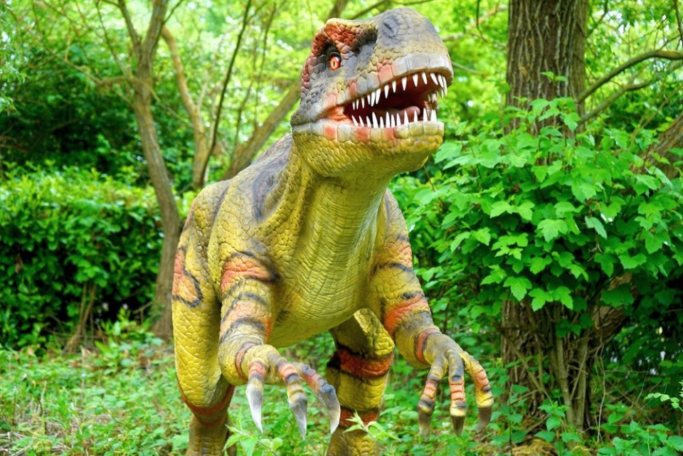 Dinozaur. Foto cu caracter ilustrativ: Mike, de la Pexels