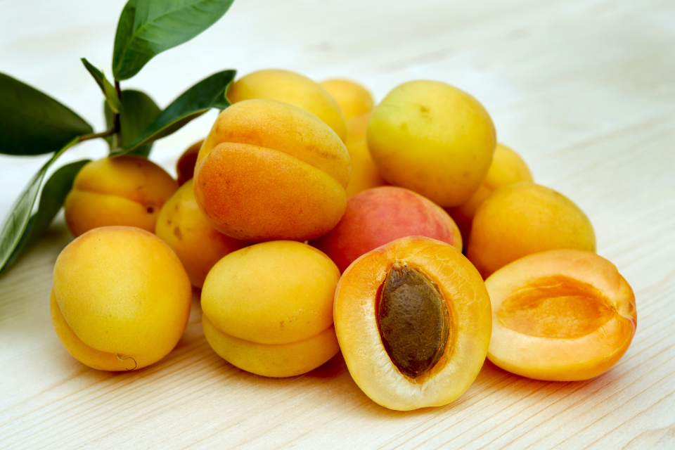 fructele bogate in antioxidanti FOTO: Unsplash @ilona frey