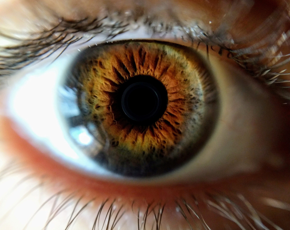 Glaucomul – FOTO: Pexels@Lacey_Day