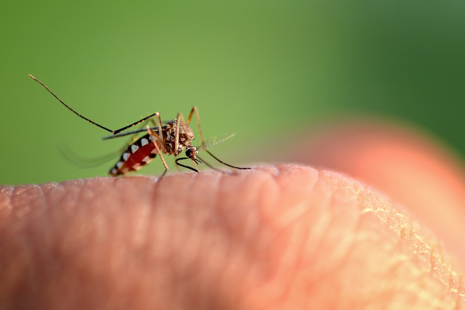 barbat diagnosticat cu malarie - FOTO: Freepick
