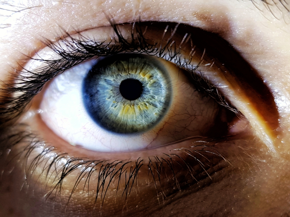 culoarea ochilor - FOTO: Freepick