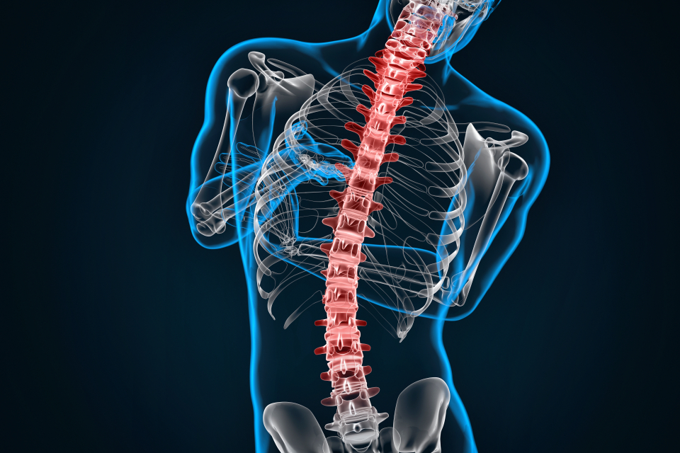 Tasarea coloanei vertebrale, cauze și riscuri - Foto: Freepick @www.slon.pics