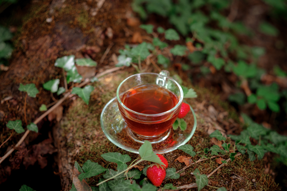 ceaiul de fructe de padure - FOTO: Freepik@y_seleznev