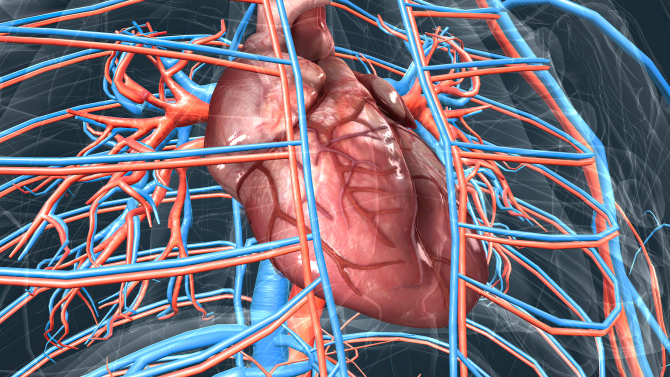 Stenoza aortică - Foto: Freepick @medipic