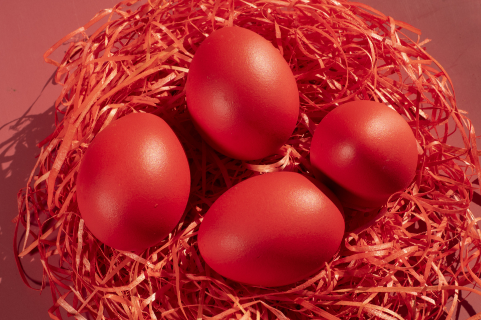 Câte ouă poți mânca pe săptămână - Foto: Freepick @celsopupo