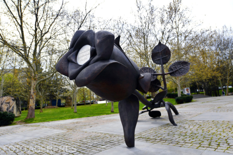 monument transplant - Foto: Agerpres